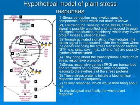 Stress Biology 的图像结果