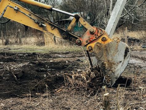 Image result for Planting Tree with Backhoe