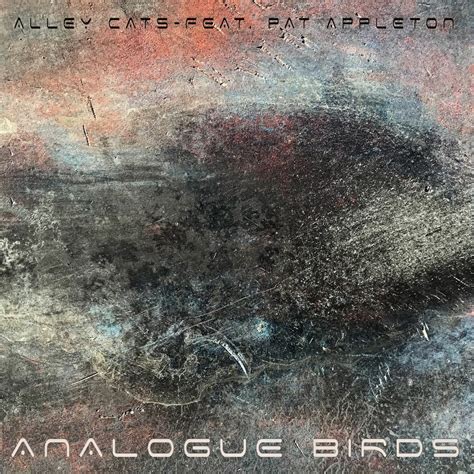 Stream Analogue Birds - Alley Cats feat. Pat Appleton by Umlaut Recordings | Listen online for ...