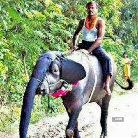 Fooled: This foreigner got fooled by an Indian photographer - Photogallery