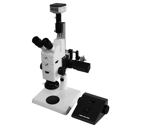 Free Digital Microscope Software 的图像结果