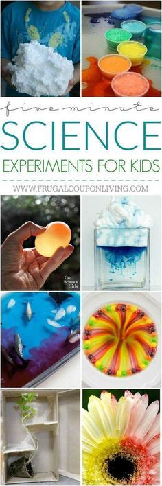 Experiments 6th-Grade 的图像结果