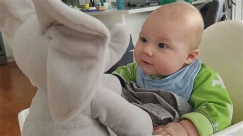 🐘 Evana – The Peek-a-Boo Singing Elephant Plushie! – Drop Wish