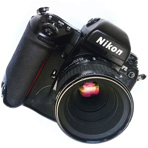 F5 Nikon Tutorial 的图像结果