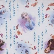 Buy Disney Frozen 2 Preschool Nap Pad Sheet Online at Lowest Price in ...