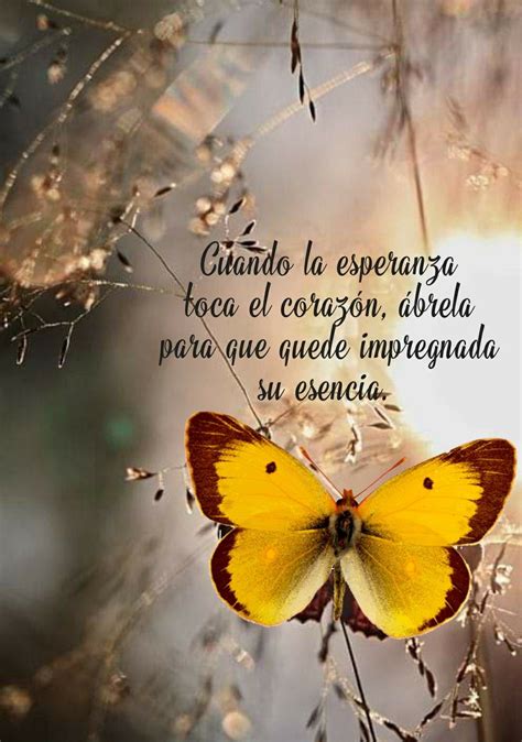 Pin af Miguel Montoliu på FRASES...&..!!!