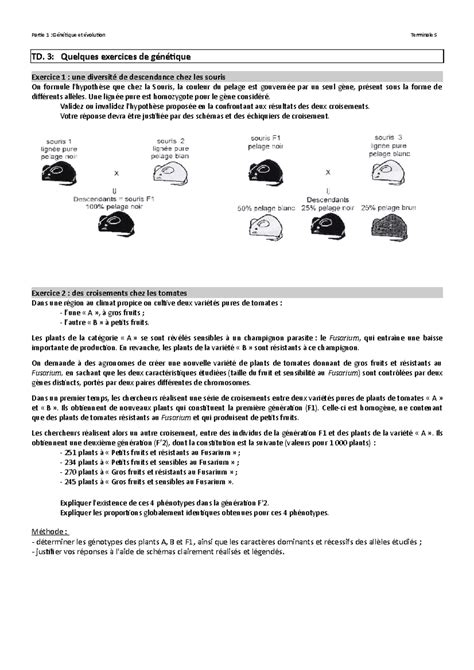 Image result for Code Genetique Exercice