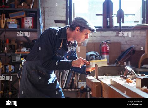 Carpenter 的图像结果