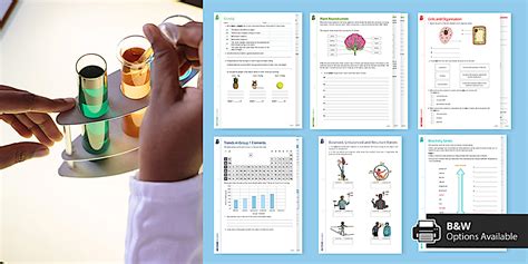 Secondary Science Revision KS3 and Homework Pack | Beyond