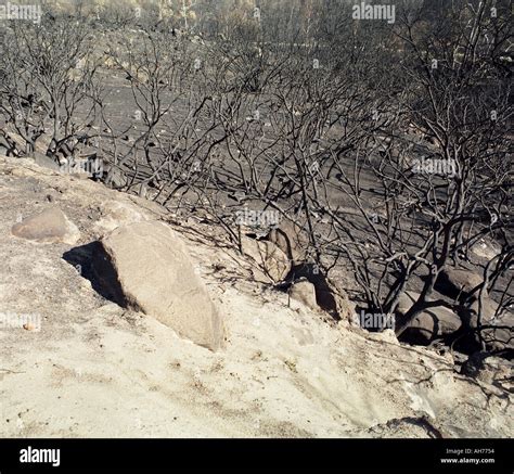 San Diego Fires 2003 Stock Photo - Alamy