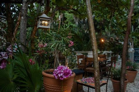 Excellent jungle party! - Reviews, Photos - Casa Jaguar Tulum - Tripadvisor
