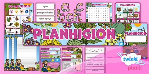 Adnoddau Natur – Dysgwch am Blanhigion gyda Twinkl Cymru