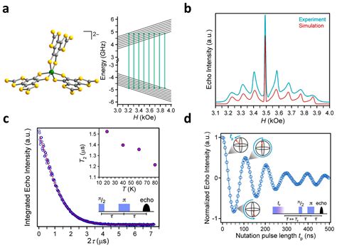 The Rise of Single-Ion Magnets as Spin Qubits