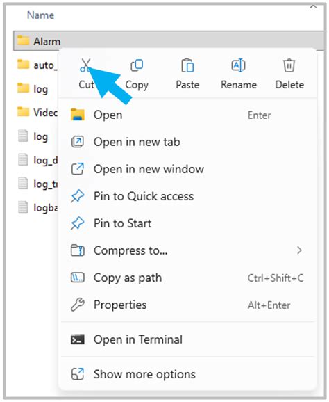 Local Storage Folder 的图像结果