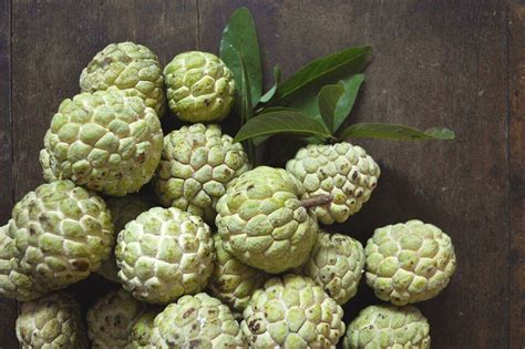 Andhra Pradesh: Sweet custard apples turn sweeter for farmers as low ...