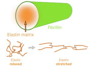 Fiber Spider Crochet Tutorials 的图像结果