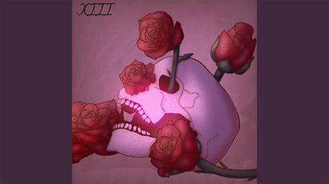 Image result for Shallow Tutorial