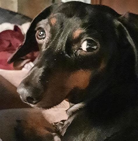 High Funeral Home | McMinnville TN