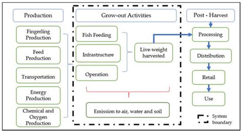 Life Cycle Assessment of Nile Tilapia (Oreochromis niloticus) Farming ...