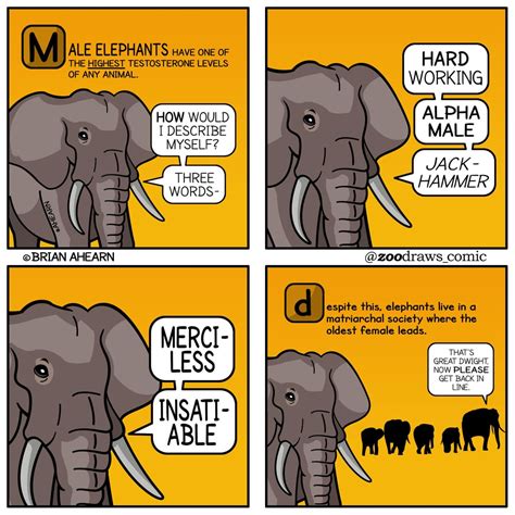 You couldn't HANDLE his undivided attention... : r/DunderMifflin