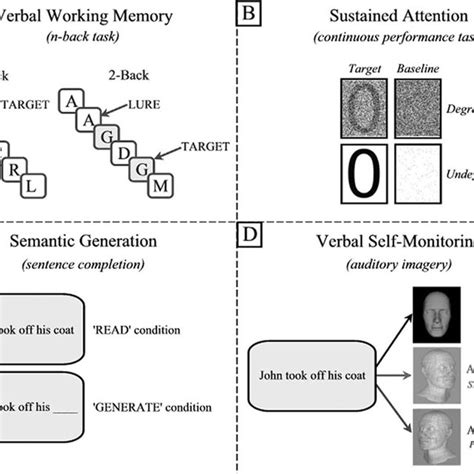 Continuous Performance Task 的图像结果