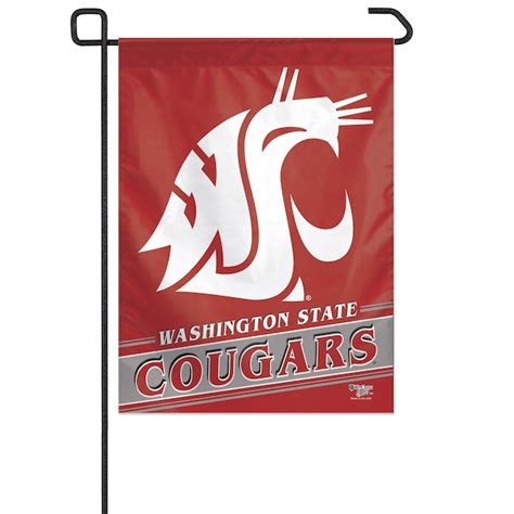 WinCraft Sports Washington State Cougars Mini Flag at Lowes.com
