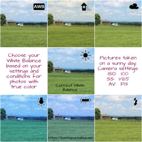 Image result for DSLR Photography Tutorial