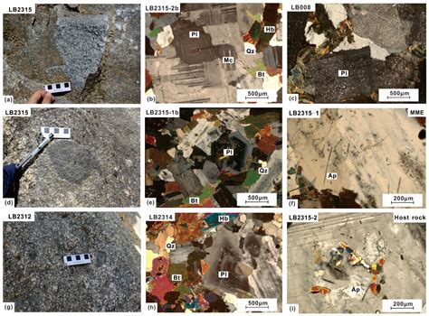 Origin of Diorites and Coeval Mafic Microgranular Enclaves in the Liuba ...