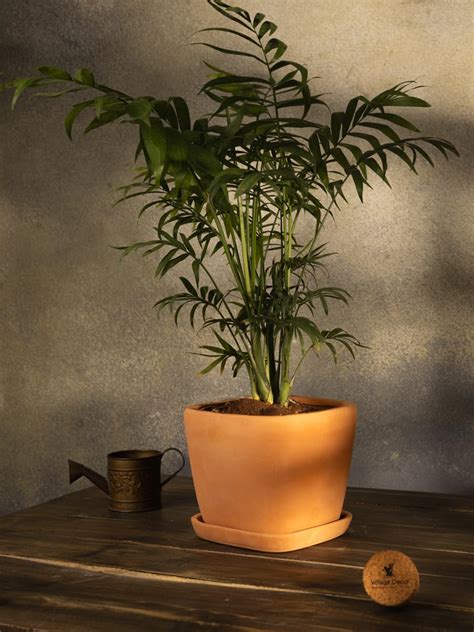 Village Decor Square Shape Planter with Bottom Tray|Pots for Repotting ...