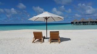 Image result for MySQL Database Rows Columns Label Example