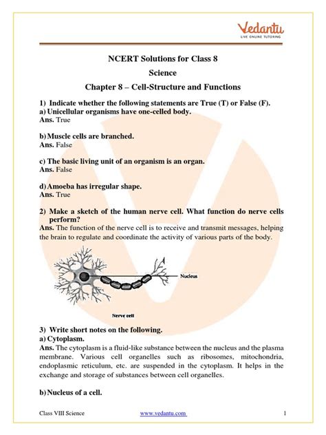 Image result for Class 8 Science Cell Structure and Function