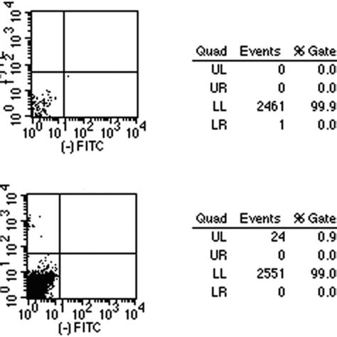 Image result for Flow Cytometry of Microglia Videotutorial