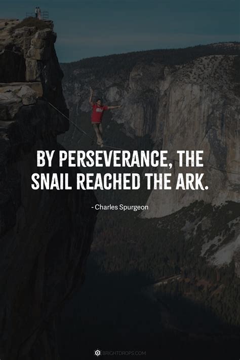 91 Perseverance Quotes on Why Giving It Your All is the Only Way ...