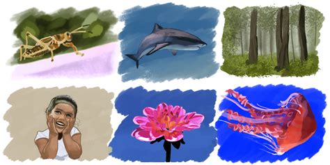 Image result for Multicellular Organism Examples