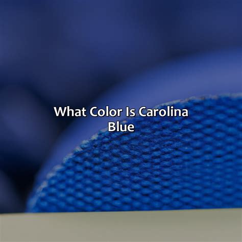 What Color Are Elephants - colorscombo.com