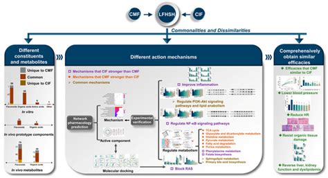 Comparison of the Chemical Components, Efficacy and Mechanisms of ...