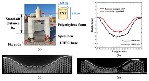 Development and Applications of 3D Printing-Processed Auxetic ...