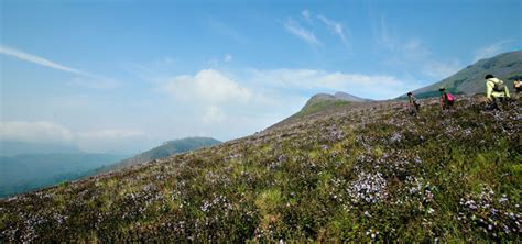 Adimali - the only big town before Munnar | Neelakurinji Bloggers ...