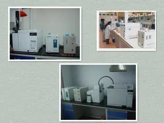 Company Overview - Shandong Saikesaisi Hydrogen Energy Co., Ltd.