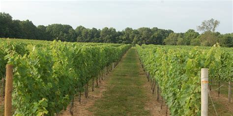 Colts Neck Tourism (2023): Best of Colts Neck, NJ - Tripadvisor