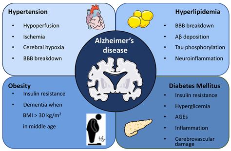 Metabolic Syndrome as a Risk Factor for Alzheimer’s Disease: A Focus on Insulin Resistance