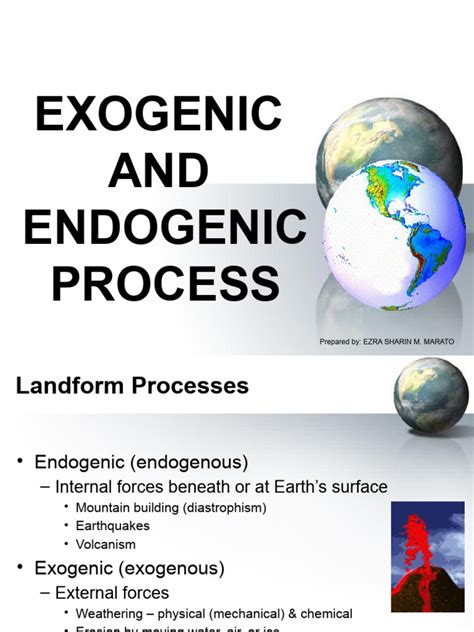 Examples of Endogenic Process 的图像结果