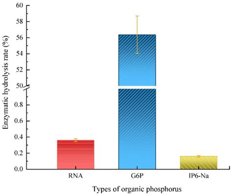 Effects of Escherichia coli Alkaline Phosphatase PhoA on the ...
