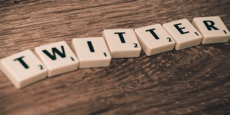 Twitter Profile Viewer 的图像结果