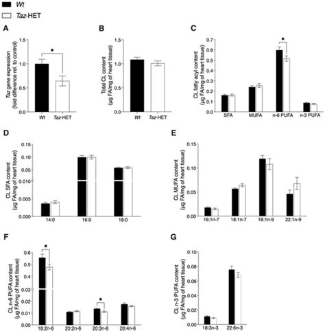 Biology | Special Issue : Mitochondria: The Diseases' Cause and Cure