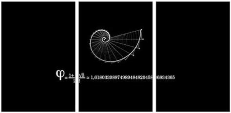 Wrap & Wish Physics Mathematics phi Golden Ratio Split Wall Posters Set ...