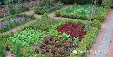 想在花园里种菜，23个花园式菜园案例和蔬菜植物搭配清单值得收藏 - 成都青望园林景观设计公司