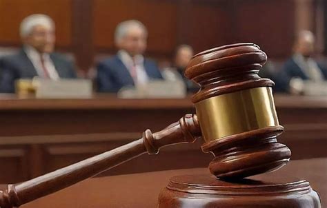 EWS Admission: Delhi High Court Affirms EWS Student's Admission in ...