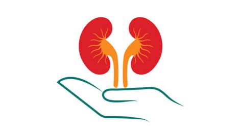 Kidney stones: Doctor-approved evidence-backed remedies to get rid of ...