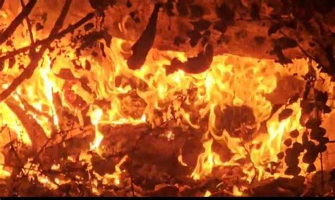 રાજુલા મોડી રાત્રે સરકારી હોસ્પિટલના જૂના ક્વાર્ટર કેમ્પમાં લાગી આગ ...